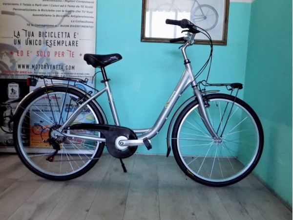 VrBike.it mod Cigno Citta' 26v6 all cc