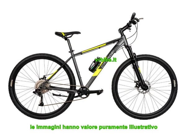 MTB 29 Kayman 1x9v Ltwoo M-Dick